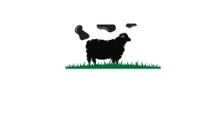 animal-welfare-logo-outlines-reversed-colors-4x